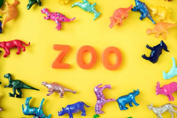 assorted color animal miniatures and zoo letter decor
